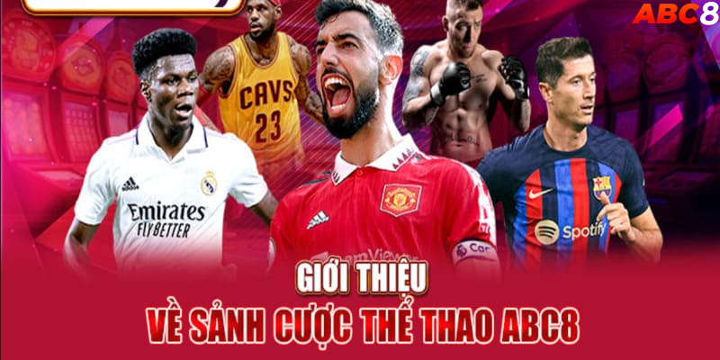 Giới thiệu thể thao Abc8