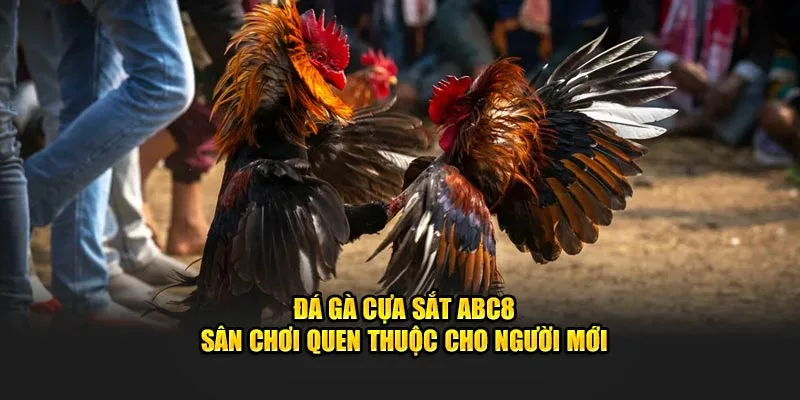 Đá gà cựa sắt