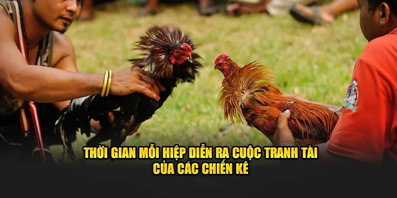 Thời gian mỗi hiệp diễn ra cuộc tranh tài của các chiến kê